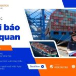 ảnh đại diện A&A LOGISTICS (2)