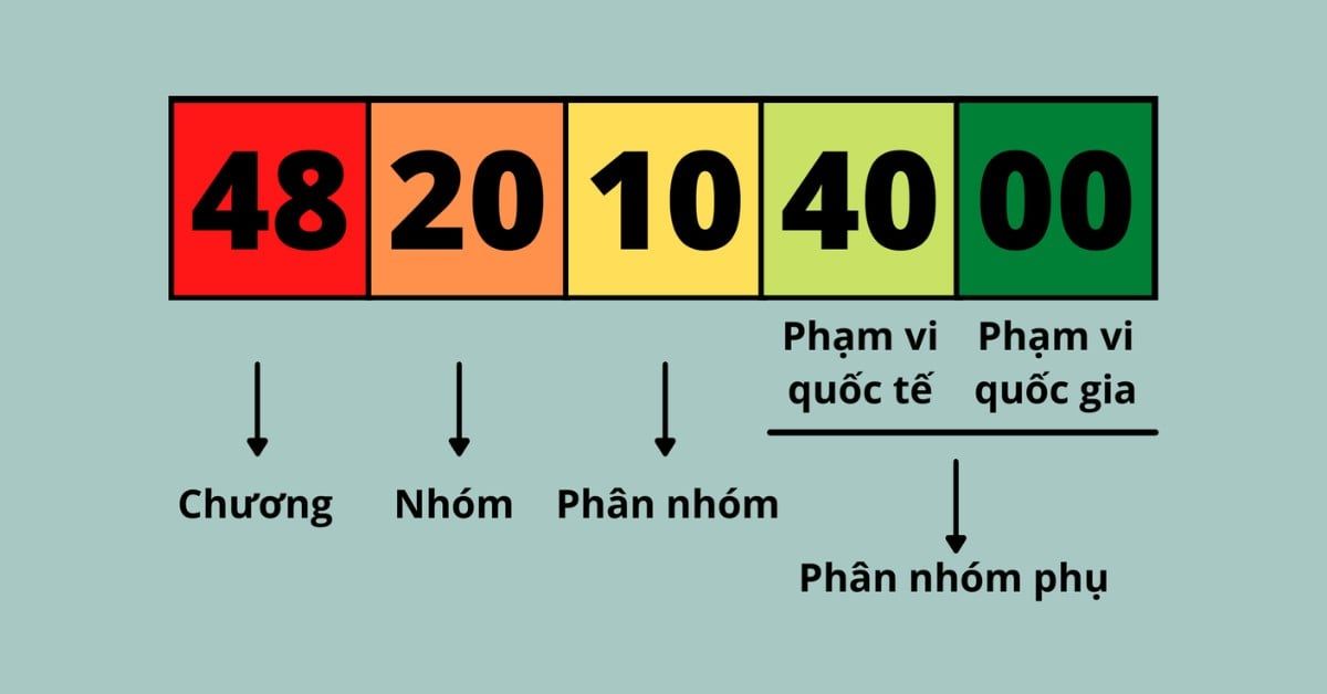 hs-code-la-gi-3
