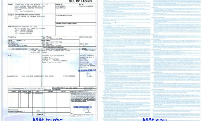 Vận Đơn Đường Biển (Bill of Lading) Là Gì? Chức Năng Và Cách Phân Loại Mới Nhất 5 van-don-duong-bien-la-gi-2