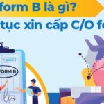 c-o-form-b-la-gi-3