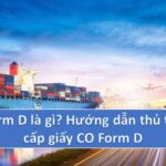 co-form-d-la-gi-3
