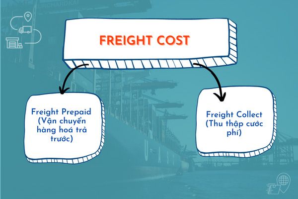 freight-la-gi-3