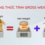 net-weight-la-gi-gross-weight-la-gi-1